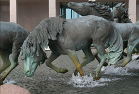 the mustangs of las colinas