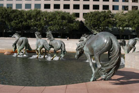 the mustangs of las colinas