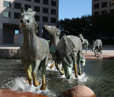 the mustangs of las colinas