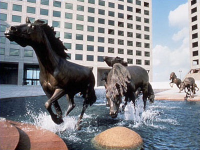 the mustangs of las colinas