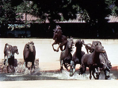 the mustangs of las colinas