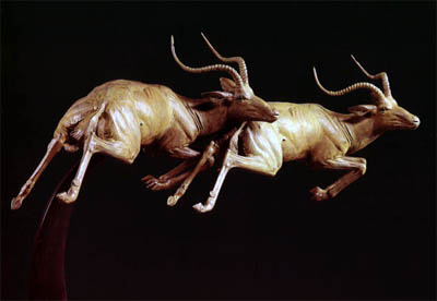 two leaping impala antelope