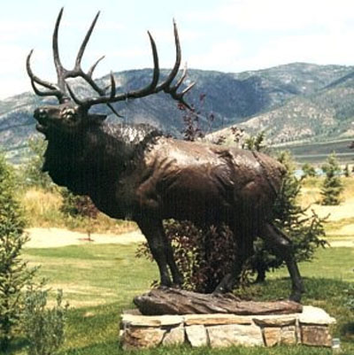 wapiti