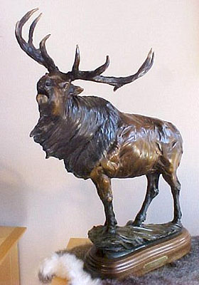 wapiti maquette