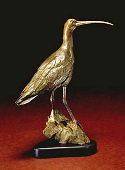 long-billed curlew