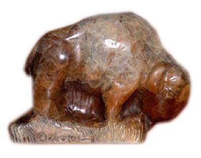 bison