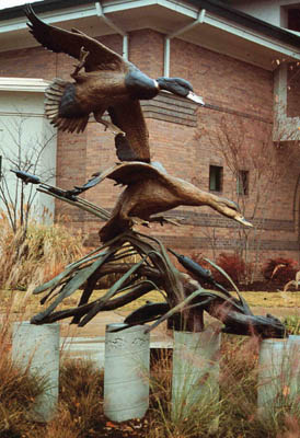 gale winds and mallards